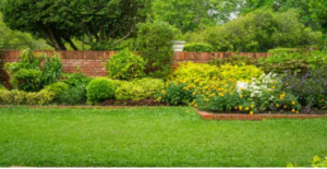 gardening services Adelaide