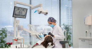 family dentist