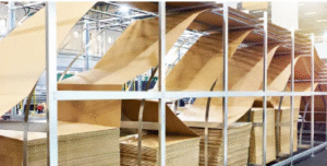 packaging boxes NZ