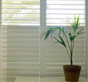 plantation shutters Adelaide